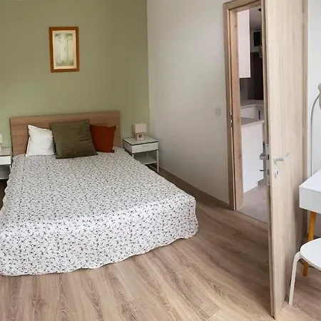 公寓 Bibi Terasz 巴拉通雷勒